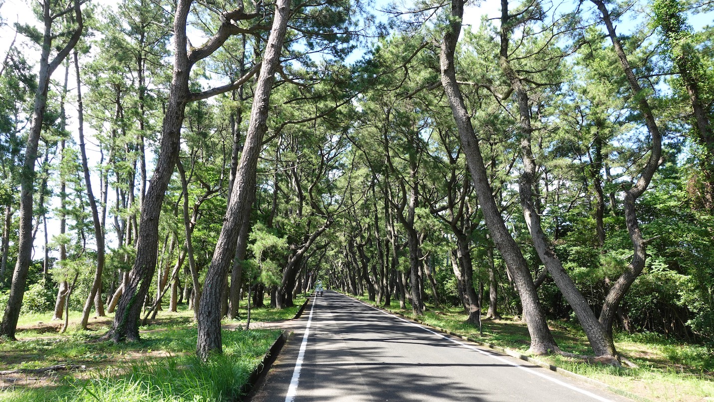 小値賀島の風景