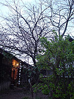䂤