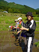 田植え