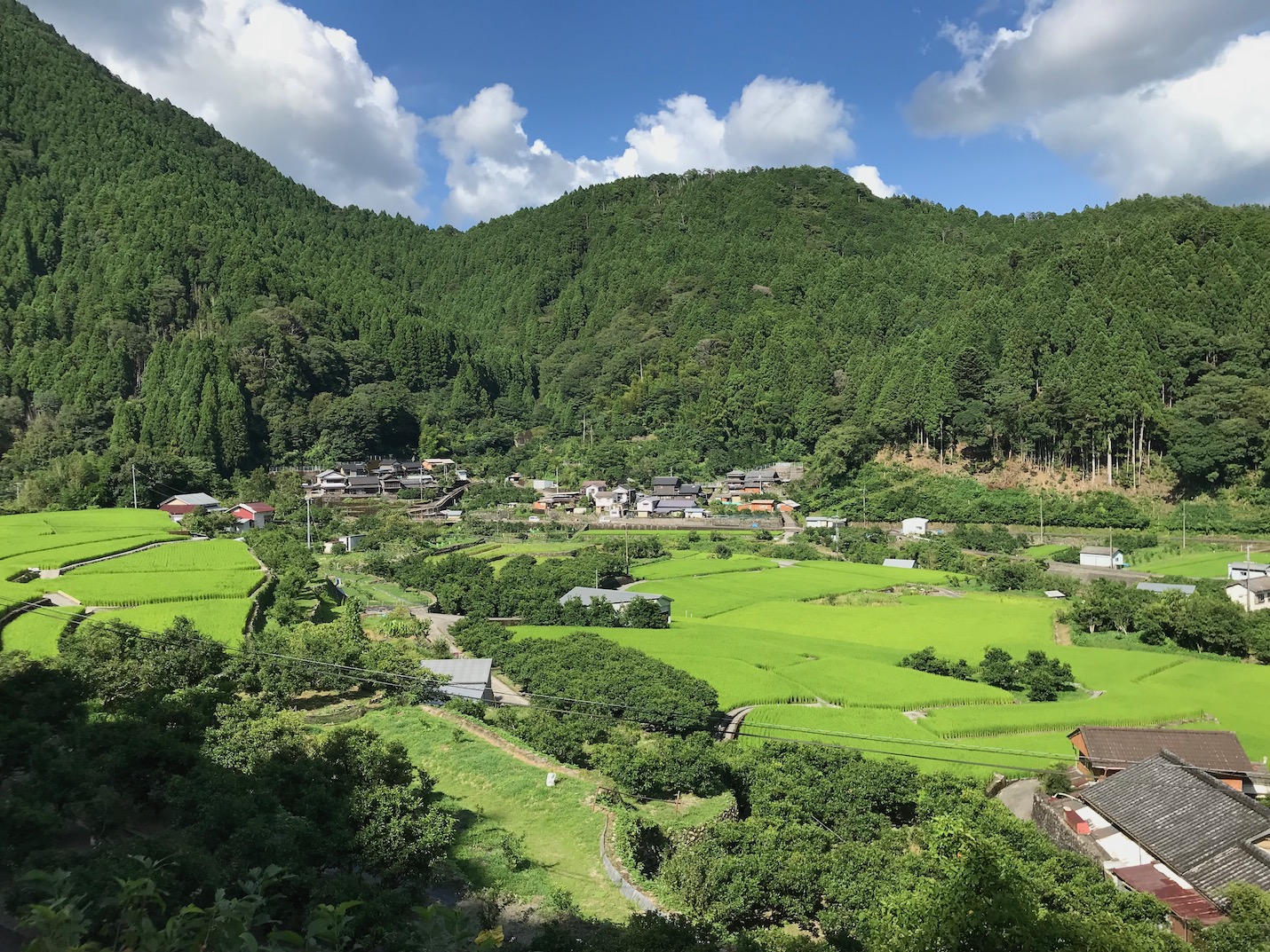 馬路村