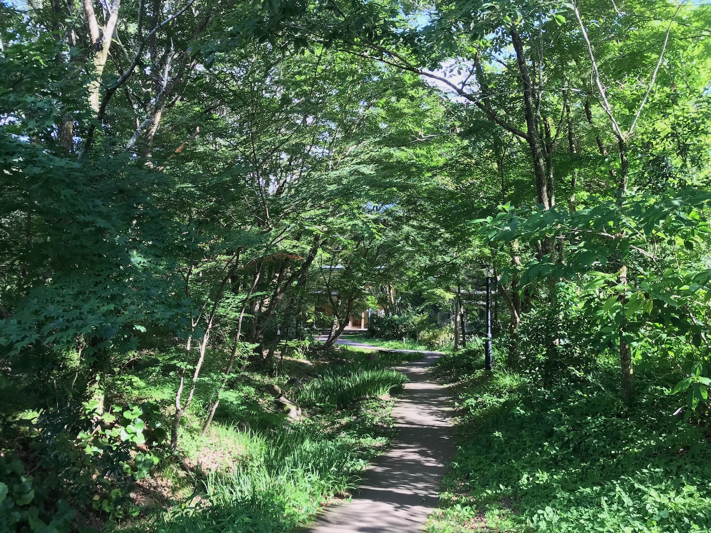 馬路村