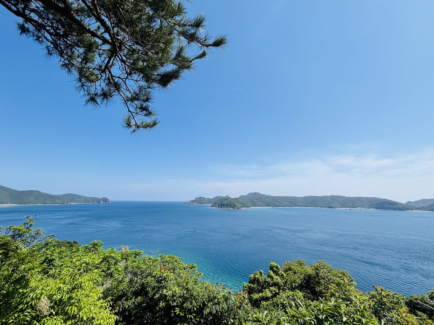 海