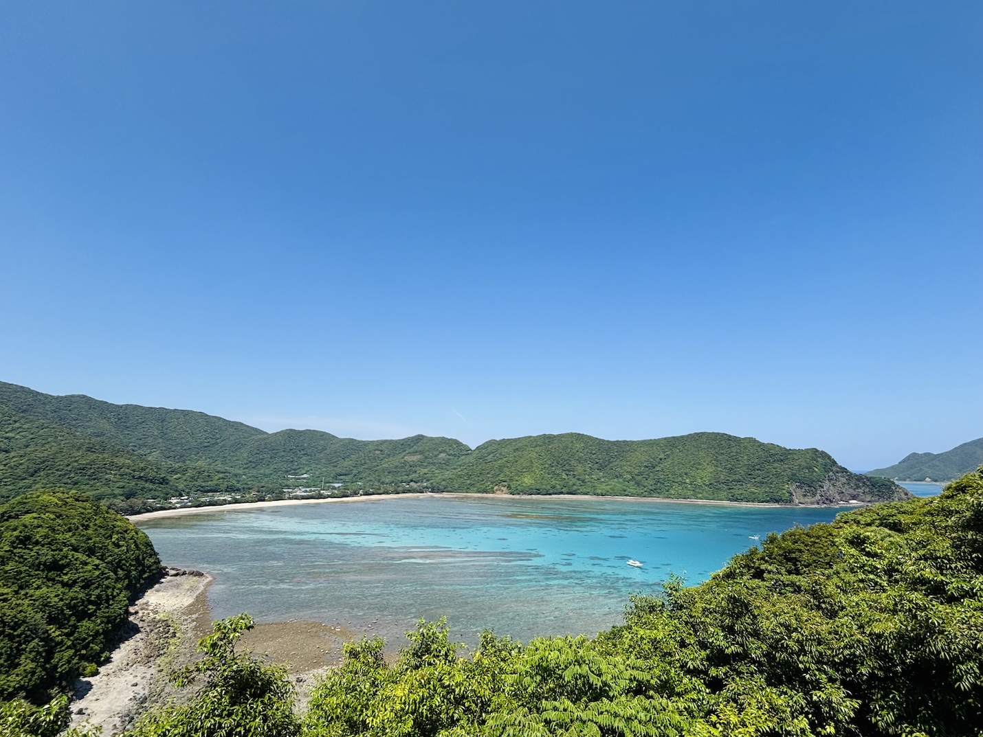 海