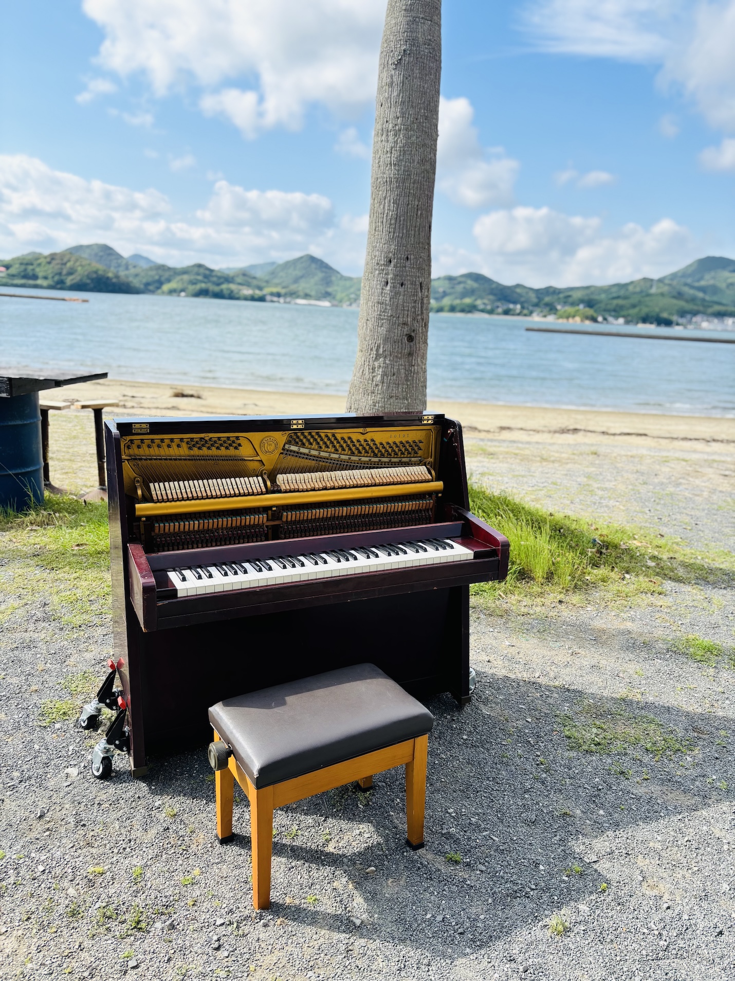 野外ピアノ
