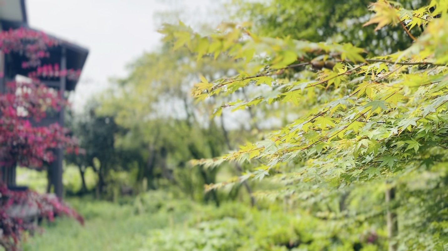 風のテラス寛音 kanon