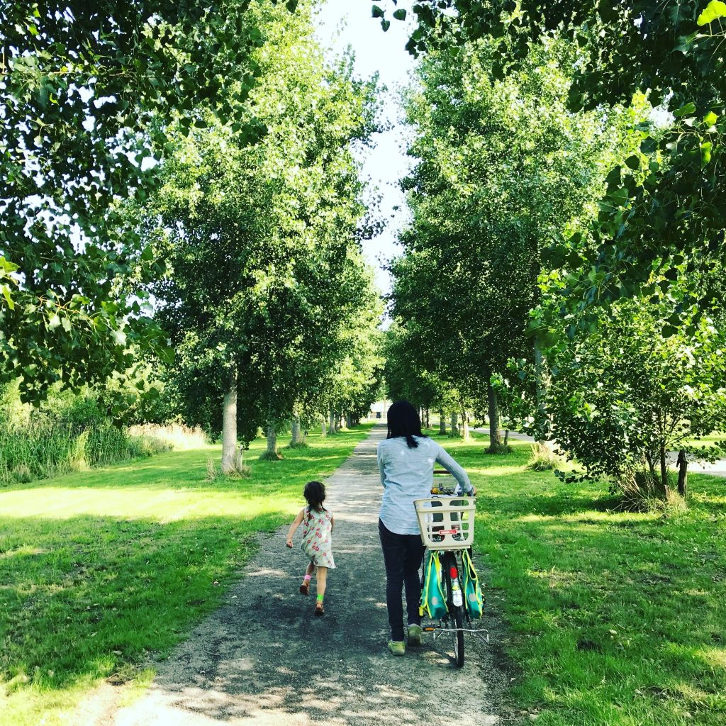 オランダの街路樹