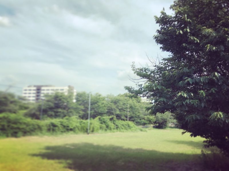 演奏会場