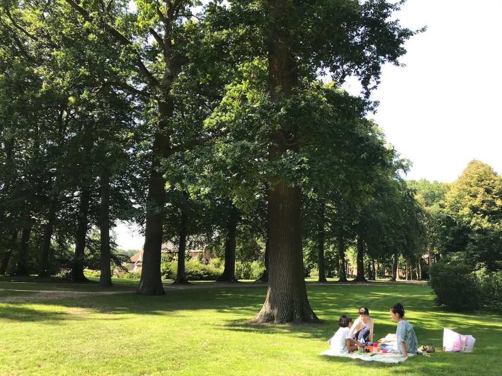 オランダ風景