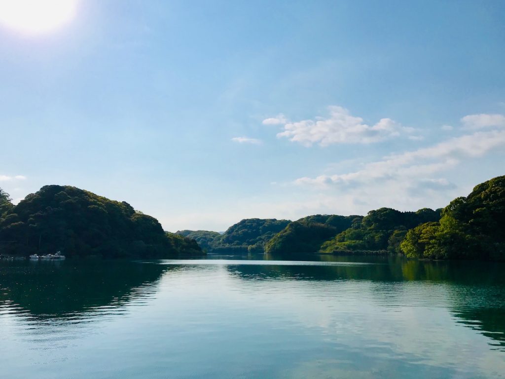 海