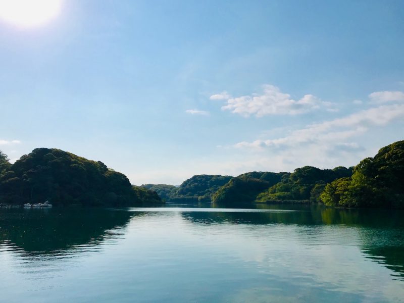 海