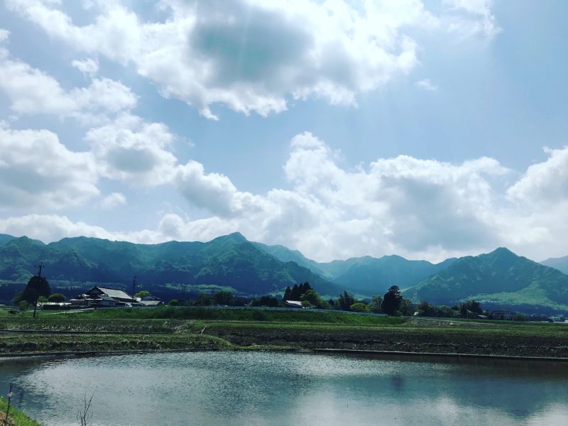 情景