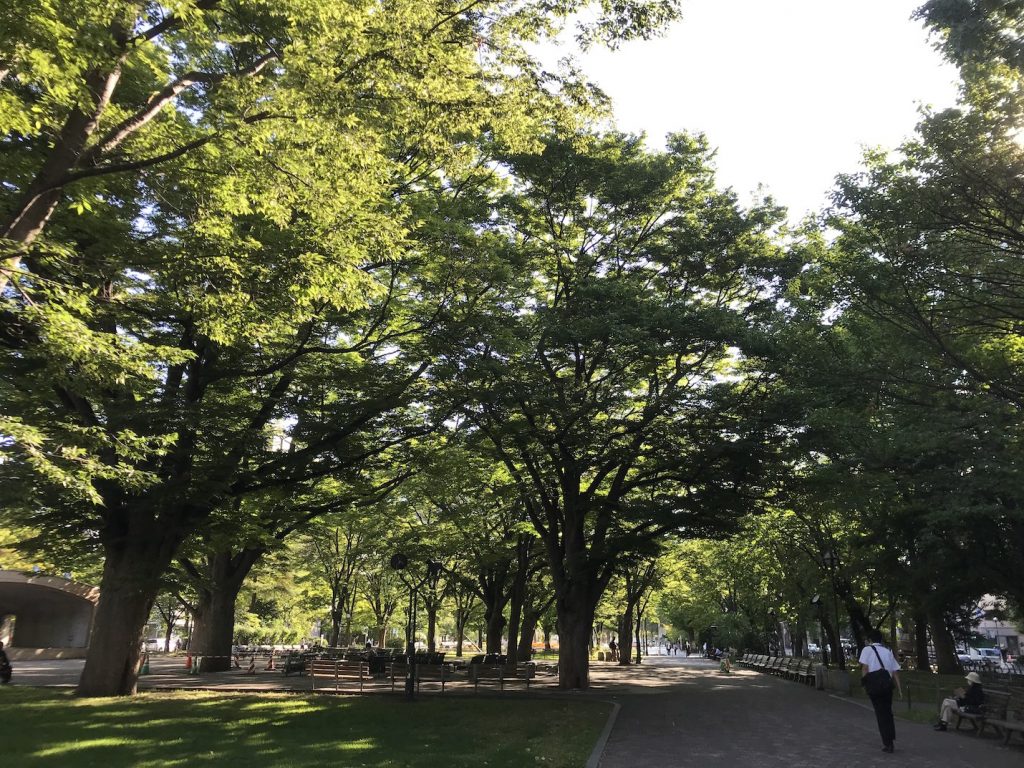 札幌の緑