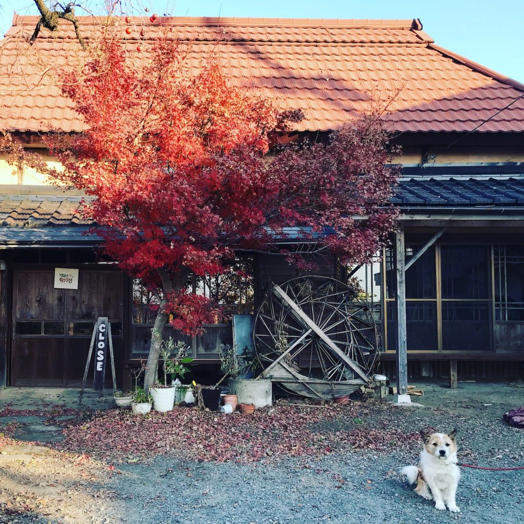 会場外観