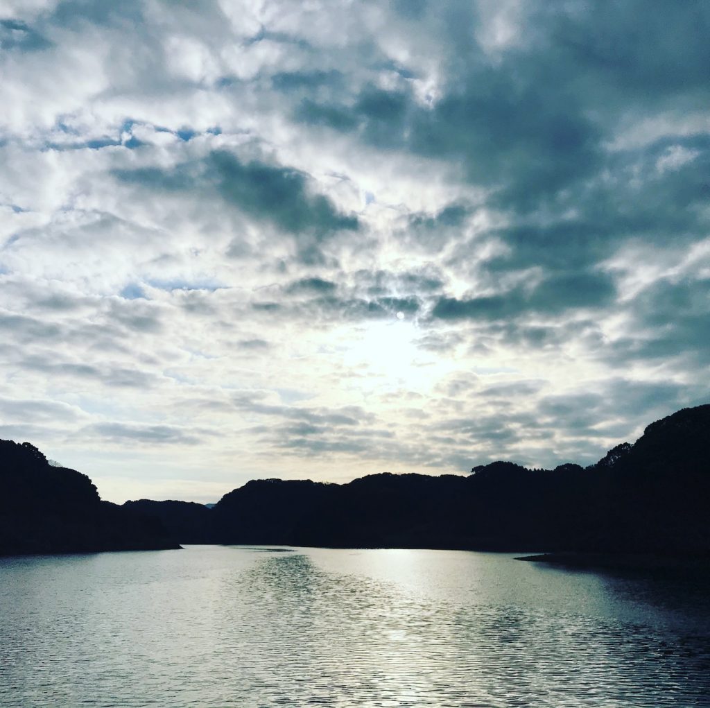 海
