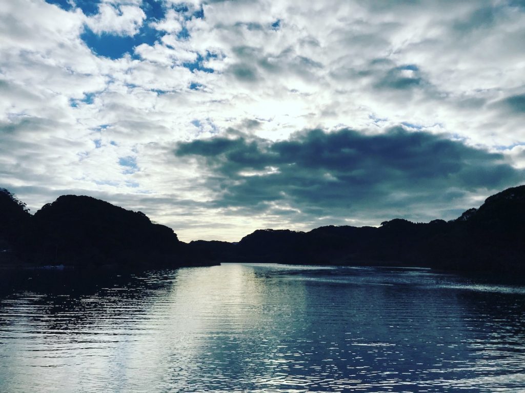 海