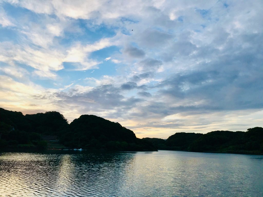 海