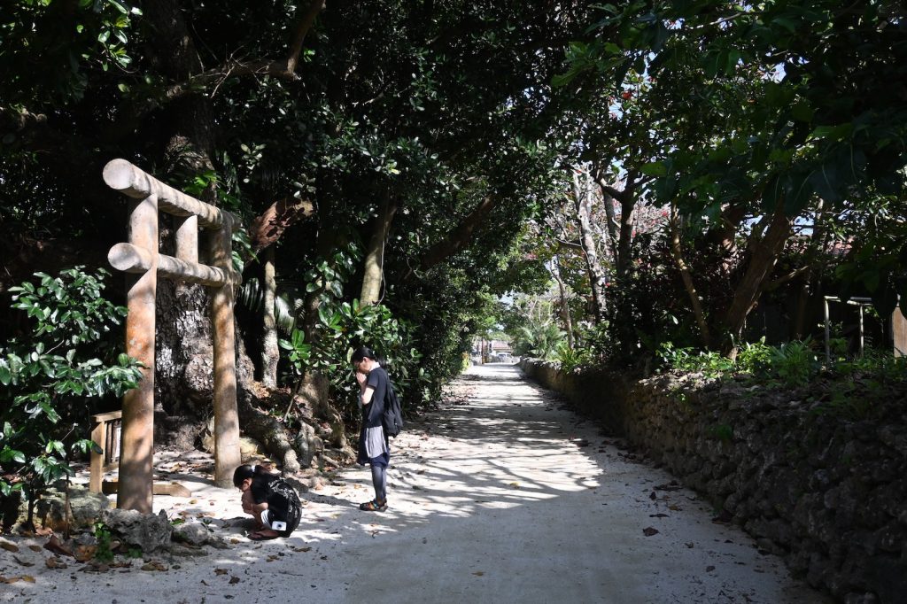 竹富島にて