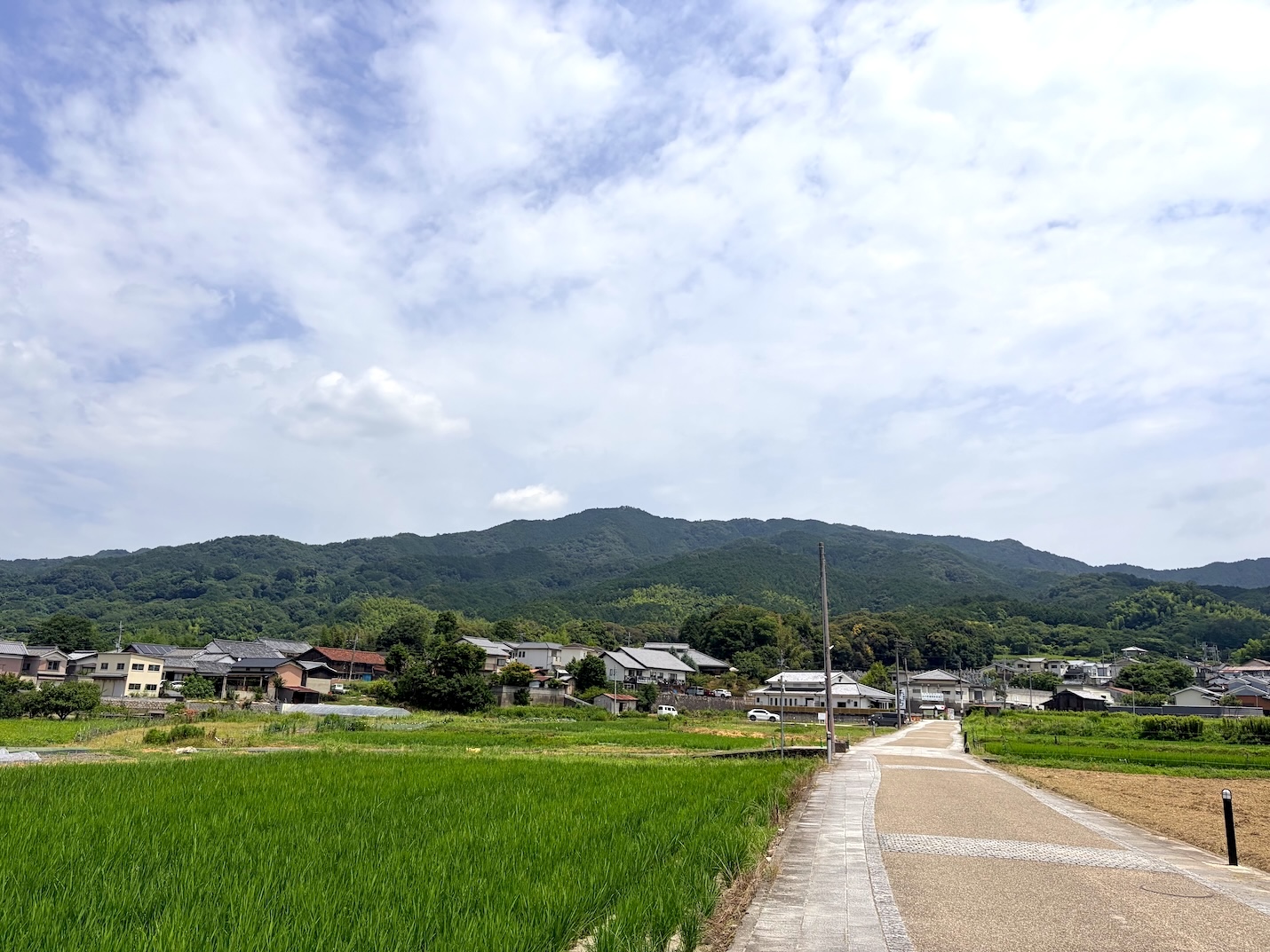 KURINOKI