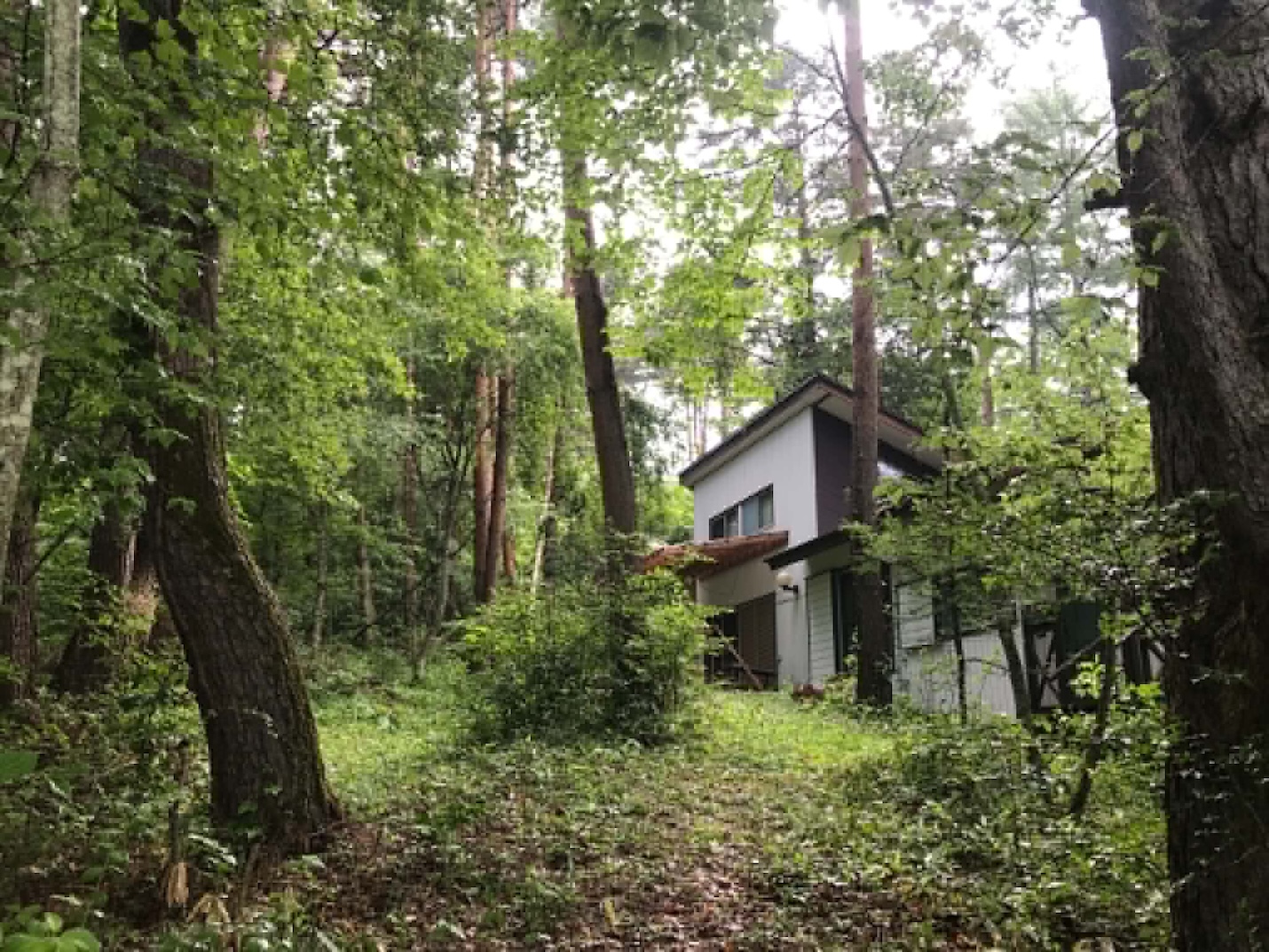 松原湖高原小池山荘